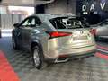 Lexus NX 300 300h Business Navigation 2WD Grau - thumbnail 7