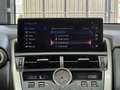 Lexus NX 300 300h Business Navigation 2WD Grau - thumbnail 32