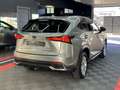 Lexus NX 300 300h Business Navigation 2WD Grau - thumbnail 9