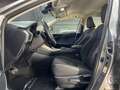 Lexus NX 300 300h Business Navigation 2WD Grau - thumbnail 21