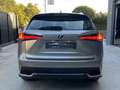 Lexus NX 300 300h Business Navigation 2WD Grau - thumbnail 17