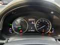 Lexus NX 300 300h Business Navigation 2WD Grau - thumbnail 43
