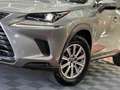 Lexus NX 300 300h Business Navigation 2WD Grau - thumbnail 6