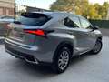 Lexus NX 300 300h Business Navigation 2WD Grau - thumbnail 18