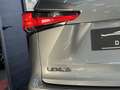 Lexus NX 300 300h Business Navigation 2WD Grau - thumbnail 5