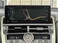 Lexus NX 300 300h Business Navigation 2WD Grau - thumbnail 31
