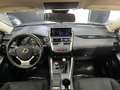 Lexus NX 300 300h Business Navigation 2WD Grau - thumbnail 25