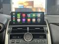 Lexus NX 300 300h Business Navigation 2WD Grau - thumbnail 34