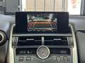 Lexus NX 300 300h Business Navigation 2WD Grau - thumbnail 35