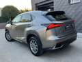 Lexus NX 300 300h Business Navigation 2WD Grau - thumbnail 16