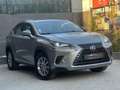 Lexus NX 300 300h Business Navigation 2WD Grau - thumbnail 14