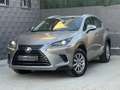 Lexus NX 300 300h Business Navigation 2WD Grau - thumbnail 12