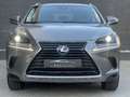 Lexus NX 300 300h Business Navigation 2WD Grau - thumbnail 15
