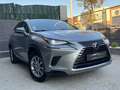 Lexus NX 300 300h Business Navigation 2WD Grau - thumbnail 20