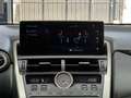 Lexus NX 300 300h Business Navigation 2WD Grau - thumbnail 33