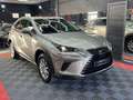 Lexus NX 300 300h Business Navigation 2WD Grau - thumbnail 3