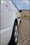 Skoda Roomster 1.2 TSI Active White - thumbnail 8