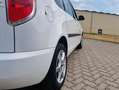 Skoda Roomster 1.2 TSI Active White - thumbnail 6