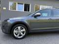 Skoda Octavia Octavia Scout 2,0 TDI 4x4 DSG Scout Grau - thumbnail 5