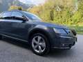 Skoda Octavia Octavia Scout 2,0 TDI 4x4 DSG Scout Grau - thumbnail 7