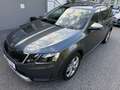 Skoda Octavia Octavia Scout 2,0 TDI 4x4 DSG Scout Grau - thumbnail 1