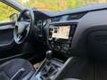 Skoda Octavia Octavia Scout 2,0 TDI 4x4 DSG Scout Grau - thumbnail 12