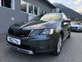 Skoda Octavia Octavia Scout 2,0 TDI 4x4 DSG Scout Grau - thumbnail 20
