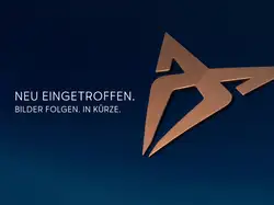 Cupra Formentor 1.5 eTSI DSG Sennheiser Edge Skyline