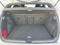 Volkswagen Golf VIII R-Line 1.5 eTSI DSG HUD*LED-PLUS*BLACK Weiß - thumbnail 13