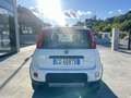 Fiat Panda 0.9 t.air t. Trussardi s&s 85cv Bianco - thumbnail 4