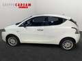 Lancia Ypsilon Ypsilon 1.3 MJT 16V 80 CV 5 porte S&S Gold Bianco - thumbnail 5