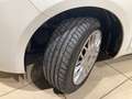 Lancia Ypsilon Ypsilon 1.3 MJT 16V 80 CV 5 porte S&S Gold Bianco - thumbnail 13