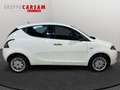 Lancia Ypsilon Ypsilon 1.3 MJT 16V 80 CV 5 porte S&S Gold Bianco - thumbnail 6