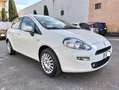 Fiat Punto Punto III  5p 1.2 Benzina Street E6 Weiß - thumbnail 3