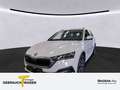 Skoda Octavia Combi iV AMBITION LM18 COLUMBUS KAMERA A Weiß - thumbnail 1