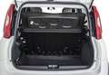 Fiat Panda III 2016 4x4 1.3 mjt 16v 4x4 s&s 95cv White - thumbnail 15