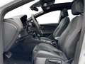SEAT Leon Cupra 300|ACC|CAM|DCC|NonOPF|Panorama| White - thumbnail 13