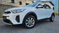 Kia Stonic Edition 7 im Top Zustand Weiß - thumbnail 1