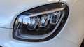 smart forFour EQ Edition One Blanco - thumbnail 3