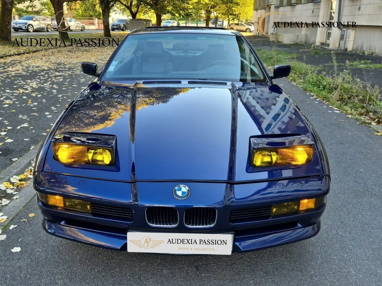 BMW 850 850 CI COUPE LUXE, foto 6