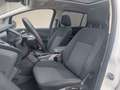 Ford Grand C-Max Grand C-MAX Business Edition KEY-GO*NAVI*7SITZ Weiß - thumbnail 7