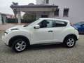 Nissan Juke Juke I 2015 1.6 Acenta Gpl 115cv E6 White - thumbnail 6