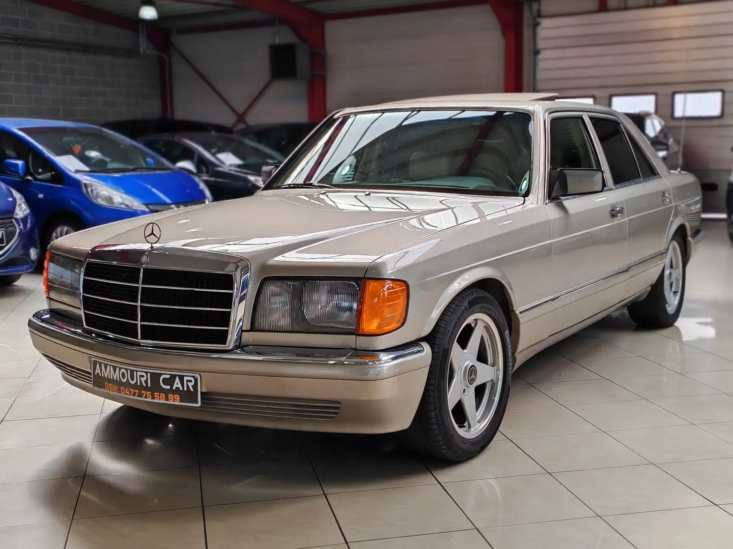 Mercedes-Benz S 260 SE Grau - 1