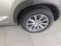 Lexus NX 300 300h Corporate 2WD Gris - thumbnail 10