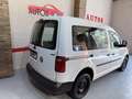 Volkswagen Caddy 2.0TDI Kombi Business 4M 90kW Blanco - thumbnail 9