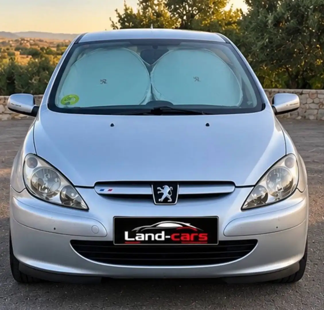Peugeot 307 307 1.6i XR XR Plateado - 2