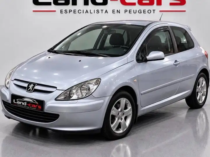 Peugeot 307 1.6i XR 2004
