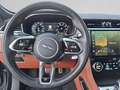Jaguar F-Pace JAGUAR P550 SVR Grau - thumbnail 12