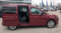 Ford Tourneo Connect Titanium  NP: € 46.312.- Rot - thumbnail 6