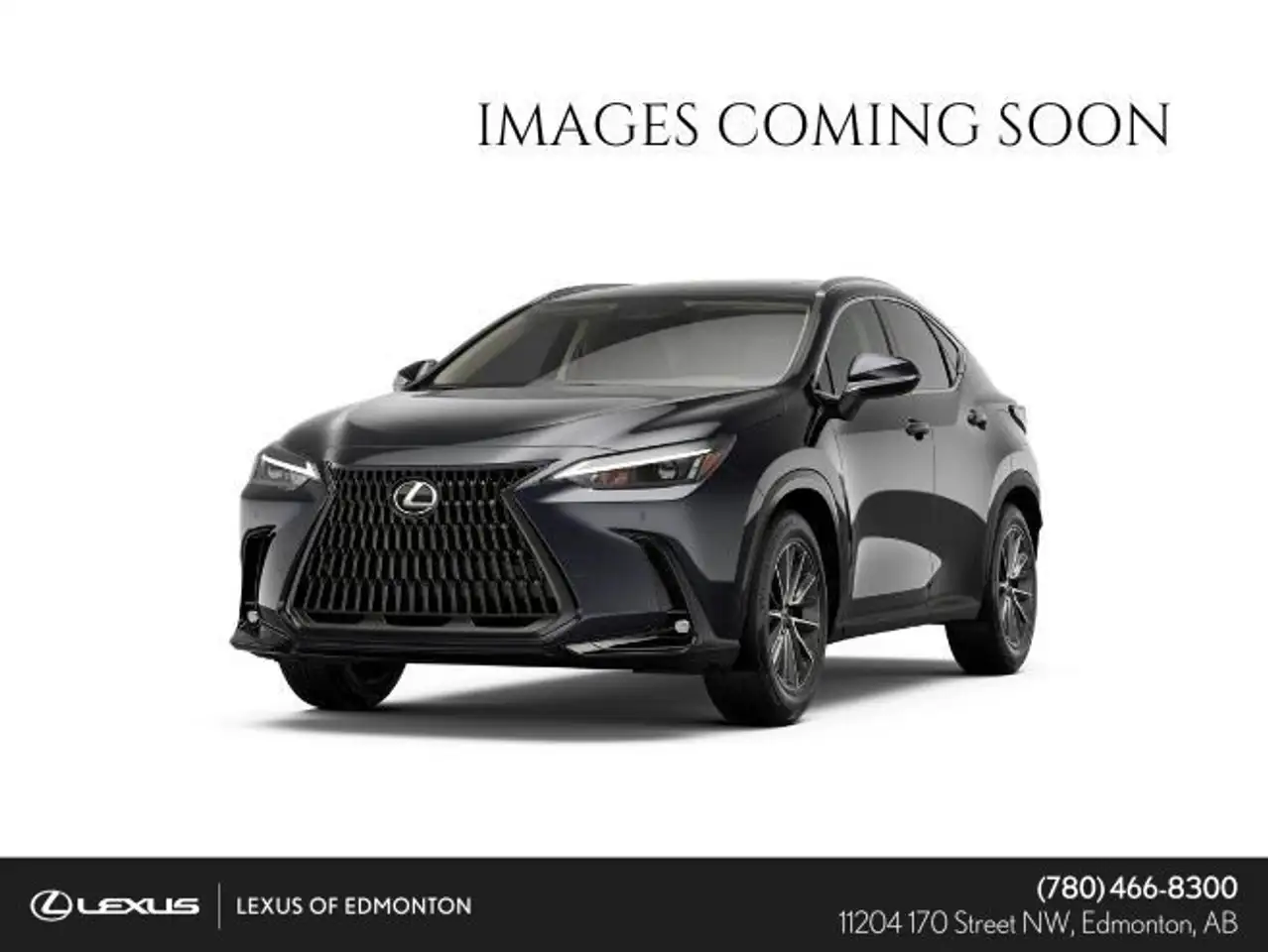 2026 Lexus NX